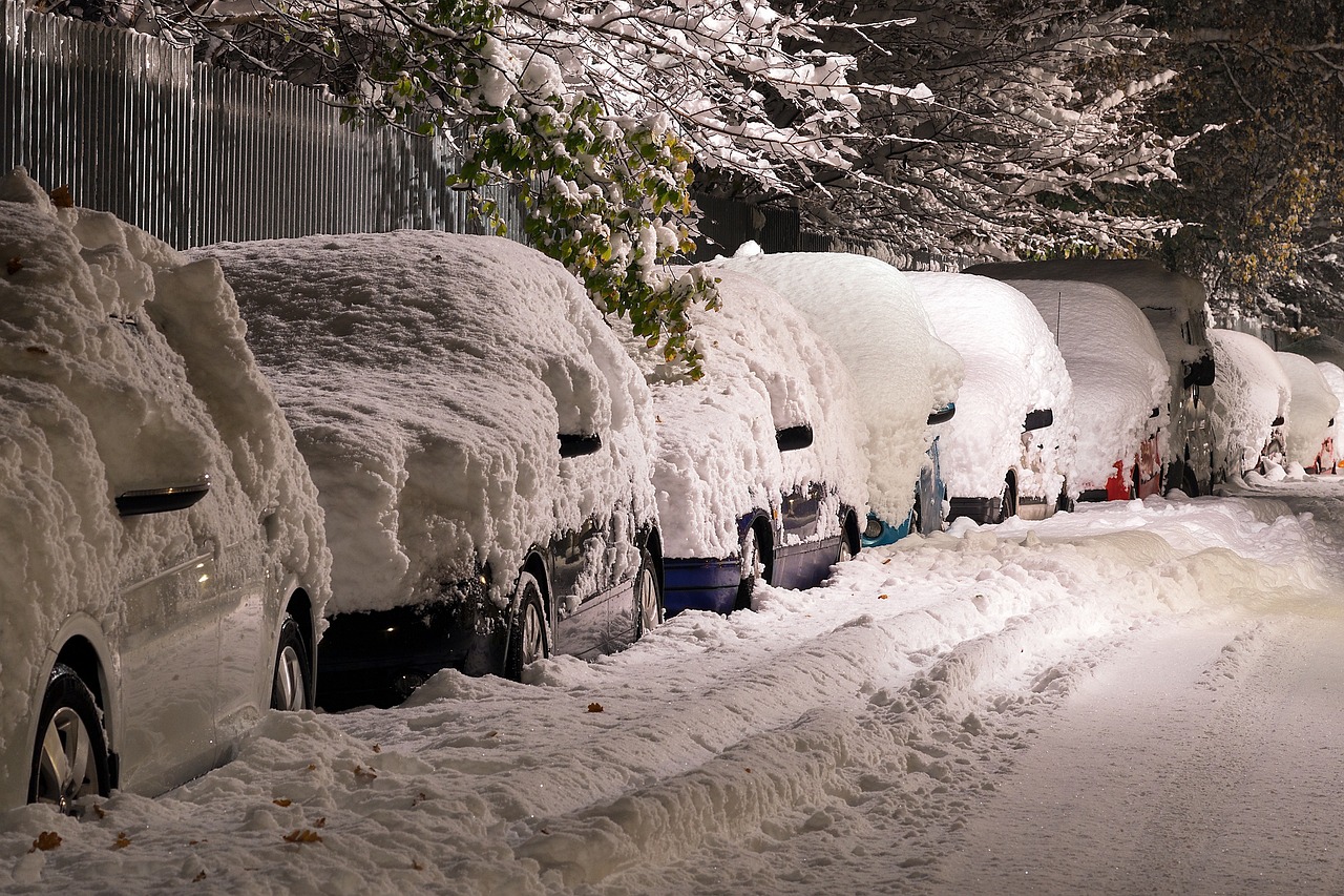 揭秘冰雪黑土地探秘黑龙江电视台，媒体力量的冰雪传奇