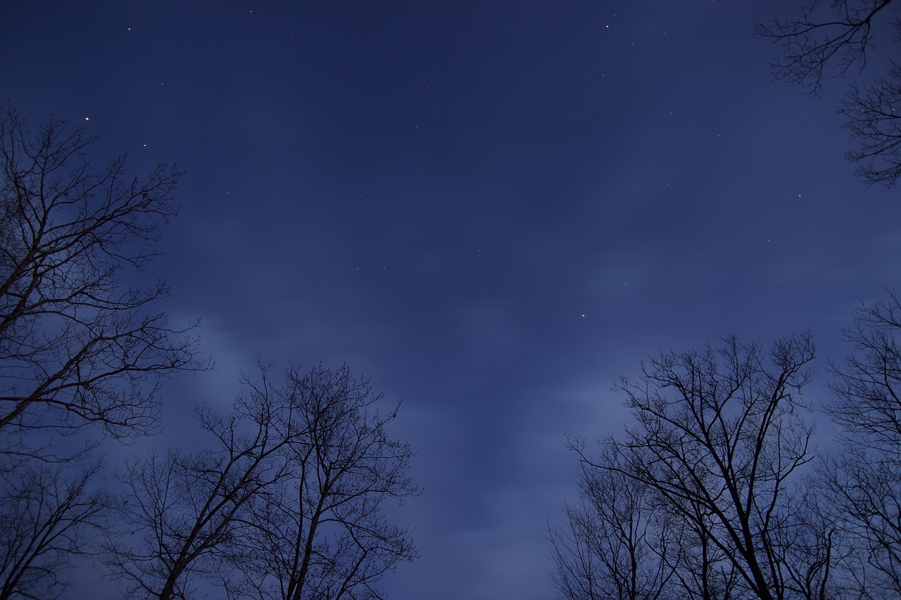 长乐曲，颜幸雪地跪夜救沈渡