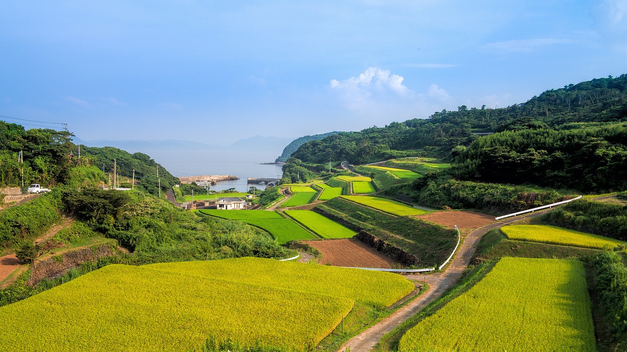 探秘冀土农韵，河北农民电视台——乡村振兴的视听力量